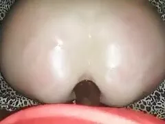 Calvo